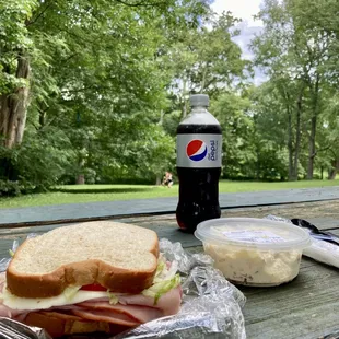 Picnic in the park.