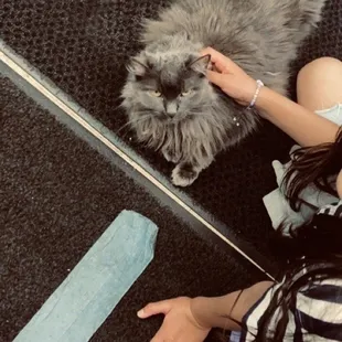 Look @ Dogs fierce look