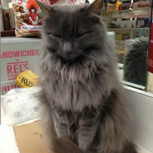 keeping everyone in line.