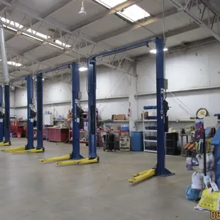 Honda Mechanic, Toyota Mechanic