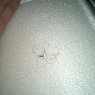Found hair in the cheeseburger.