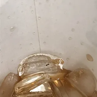 Drank my whole drink opened my lid to get a piece of ice and found this dude chillen. Disgusting