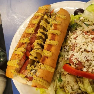 Chicago dog, to my surprise with a side salad (he usually goes for the fries)