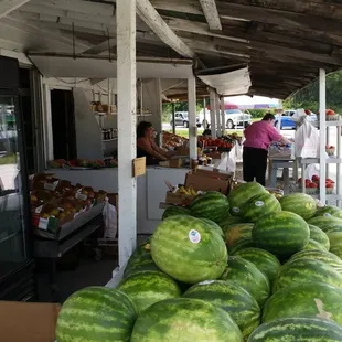 farmers selling watermelons