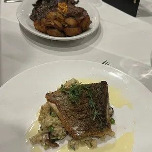 Barramundi