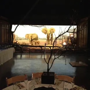 Wedding at Museum of Natural History - Full Catering