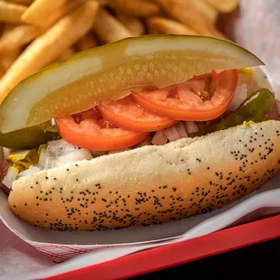 a hot dog with pickles and tomatoes