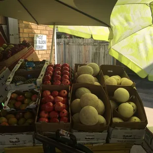 Fruit