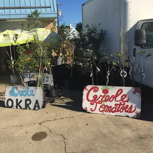 You can get your own plants!