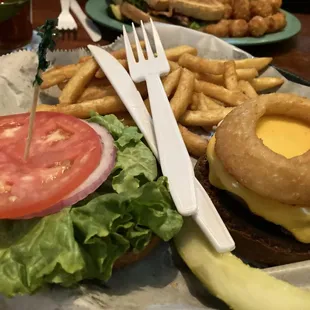 Turkey Burger Sandwich, Onion Ring, and Fries