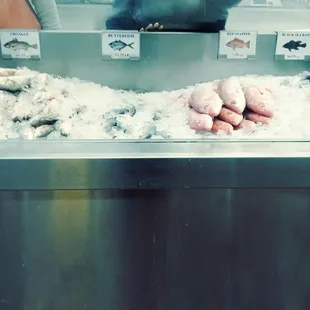 a display of fresh fish