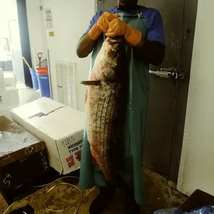 a man holding a large fish