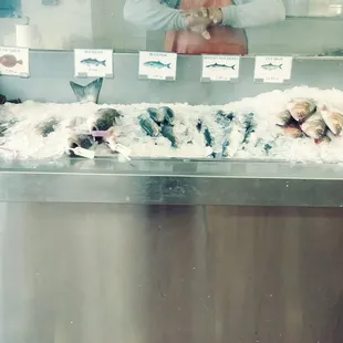 a display of fresh fish