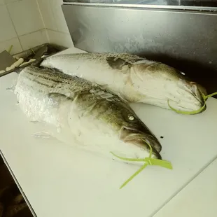 sashimi, sushi, sushi and sashimi, food