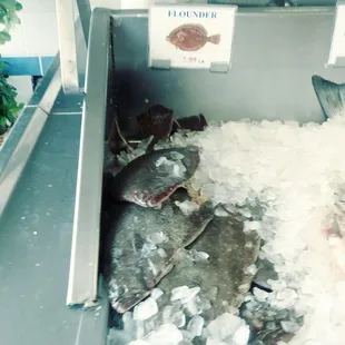 oysters and mussels, shellfish, oysters, food, mussels