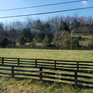 Pasture