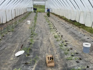 Triple J Farm