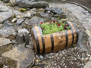 Eternal Echos Garden