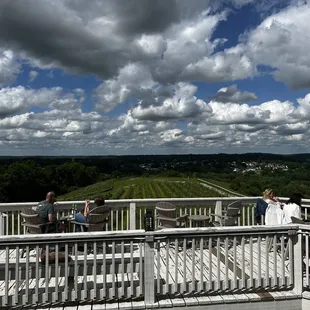 a view of a vineyard