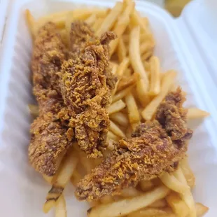Chicken Tenders with fries