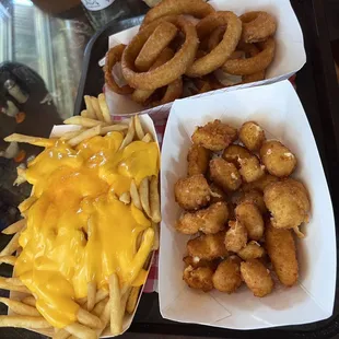 Family portions of cheese fries, cheese curds, and onion rings