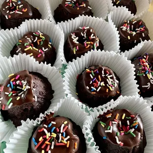 Double Chocolate baby Bundts