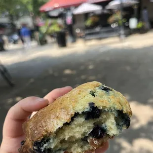 I really enjoy their scones! This is the blueberry