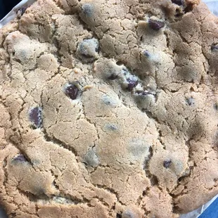 Chocolate Chip Cookie