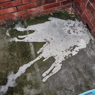 they were very messy!!