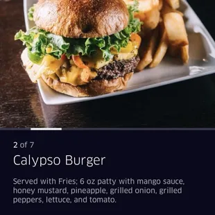 burgers, burger, food