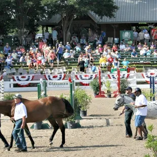 Clients of Alpha Omega Veterans Services leading horses at the Germantown Charity Horse Show with Southern Reins Center for Equine Therapy