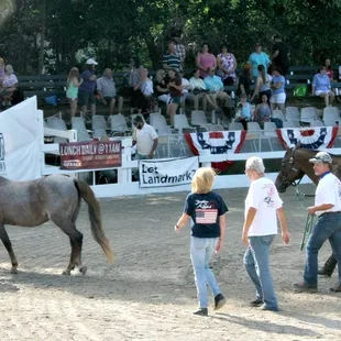 Clients of Alpha Omega Veterans Services leading horses at the Germantown Charity Horse Show with Southern Reins Center for Equine Therapy