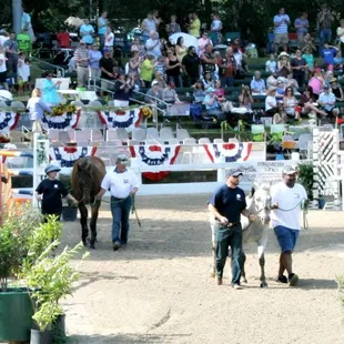 Clients of Alpha Omega Veterans Services leading horses at the Germantown Charity Horse Show with Southern Reins Center for Equine Therapy