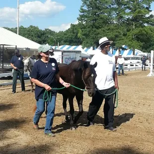Clients of Alpha Omega Veterans Services leading horses at the Germantown Charity Horse Show with Southern Reins Center for Equine Therapy