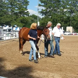 Clients of Alpha Omega Veterans Services leading horses at the Germantown Charity Horse Show with Southern Reins Center for Equine Therapy