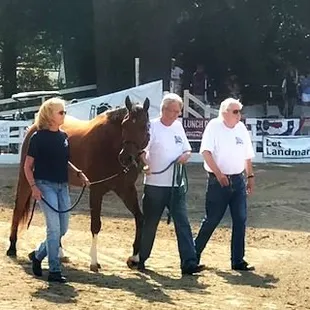 Clients of Alpha Omega Veterans Services leading horses at the Germantown Charity Horse Show with Southern Reins Center for Equine Therapy