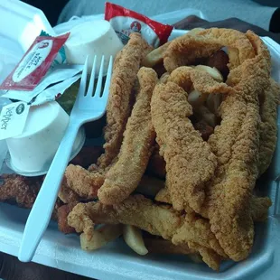 Catfish and fries