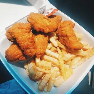 Hot Wings and Fries
