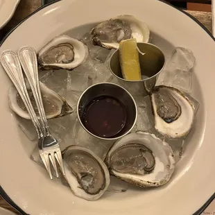 Oysters