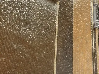 Yoshimoto Physical Therapy