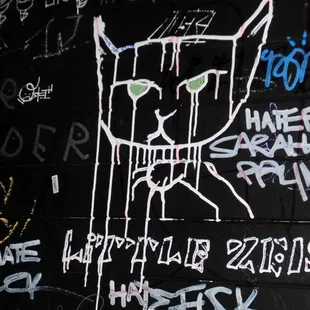 Worst Bathroom in SF yields beauty in the form of a crazy cat!