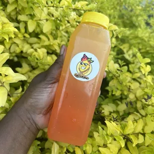 Passion PARADICE LitMonade