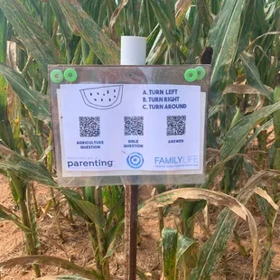 Get Lost Corn Maze