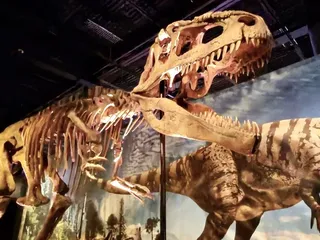 Discovery Place Science