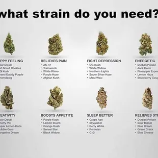 what strain do you need?