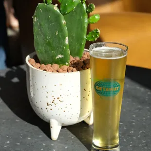 Tuk Tuk (rice lager)