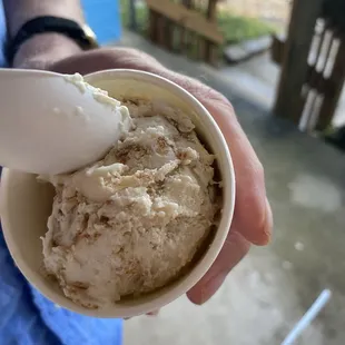 Oatmeal Cookie &amp; Brown Sugar Poptart