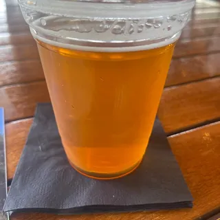 Elysian Space Dust IPA