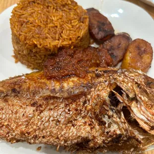 Red Snapper