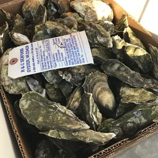100 ct. wild Eastern Shore oysters.